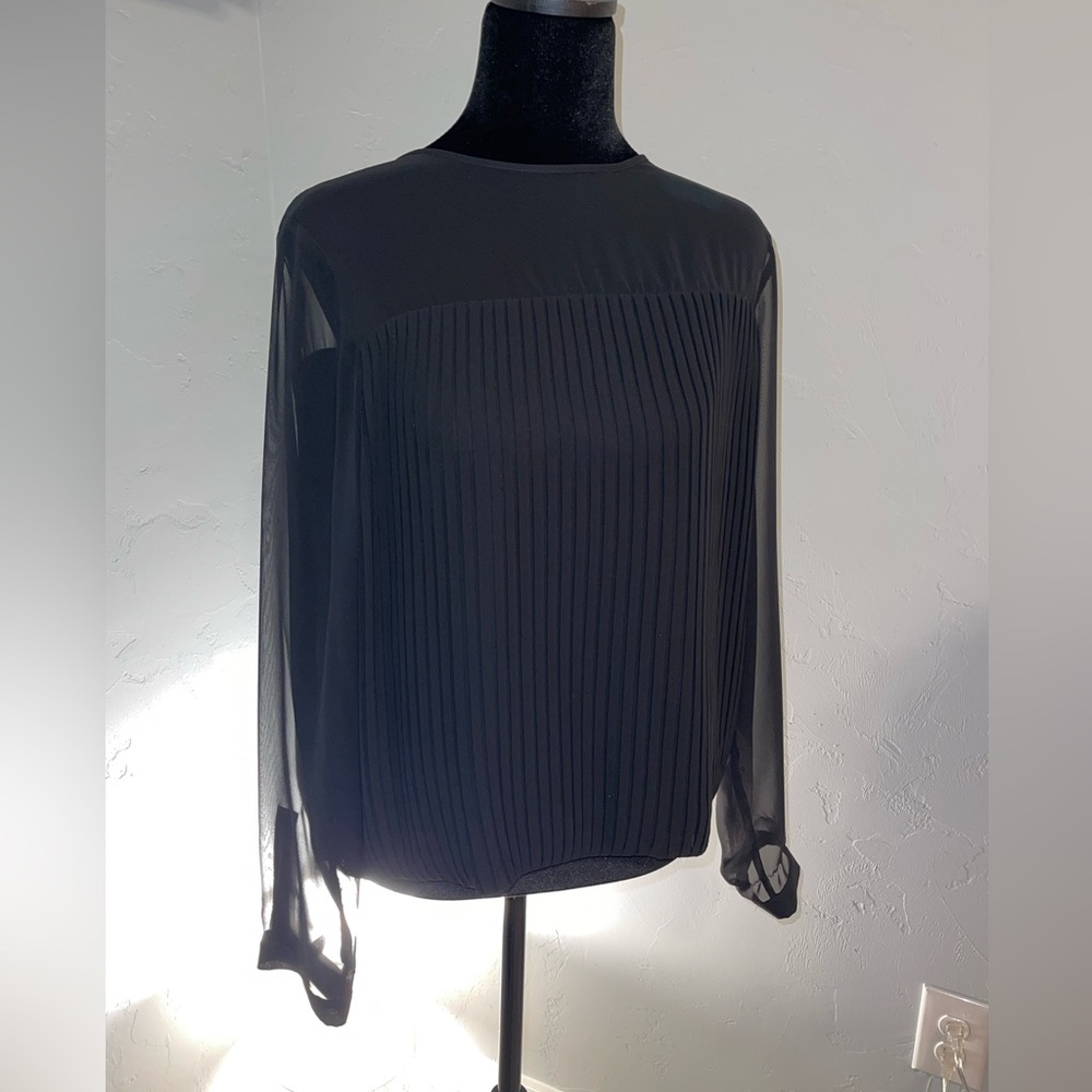 Nice sheer long sleeve blouse with pleated front